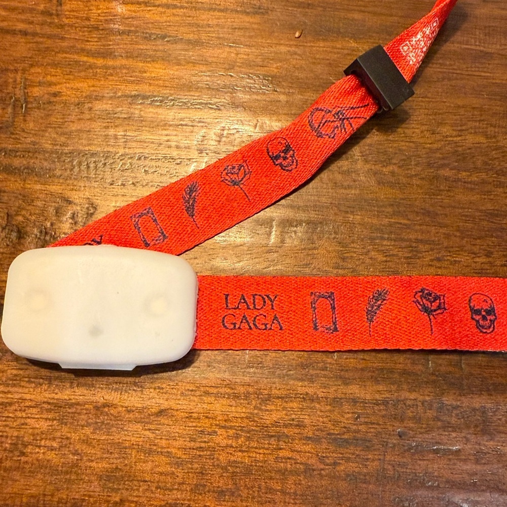 Official Lady Gaga "The Mayhem Ball" 2025 Tour Light Up Wristband - Paris